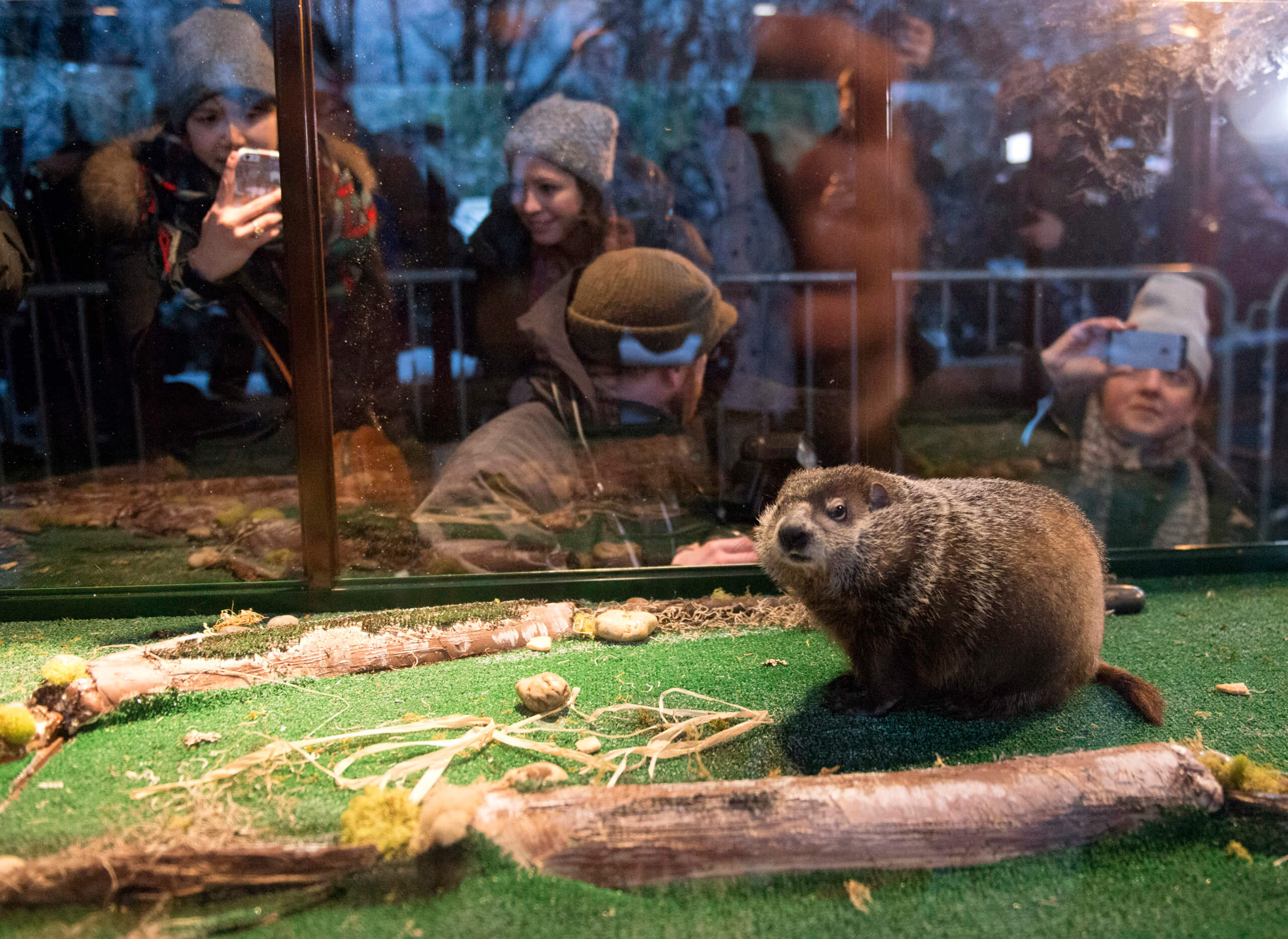 Staten Island Chuck predicts an early spring during virtual Groundhog